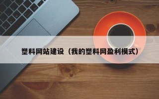 湖南塑料网站建设（我的塑料网盈利模式）