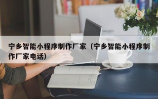 湖南宁乡智能小程序制作厂家（宁乡智能小程序制作厂家电话）