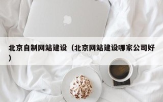 湖南北京自制网站建设（北京网站建设哪家公司好）